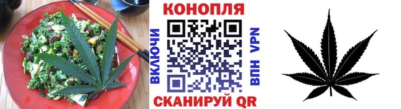 Canna-Cookies марихуана  omg ссылки  Бологое 