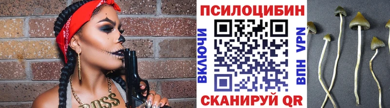 Псилоцибиновые грибы Psilocybine cubensis  магазин    кракен онион  Бологое 